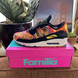 Air Max 90 Familia 