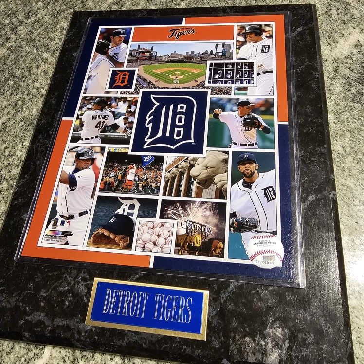 DETRIOT TIGERS MBL BASEBALL2015 TEAM Photo File Ru11815 Mounted On Heavy wood Marbled Coated