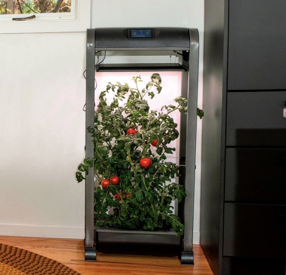 Aerogarden Farm 12XL
