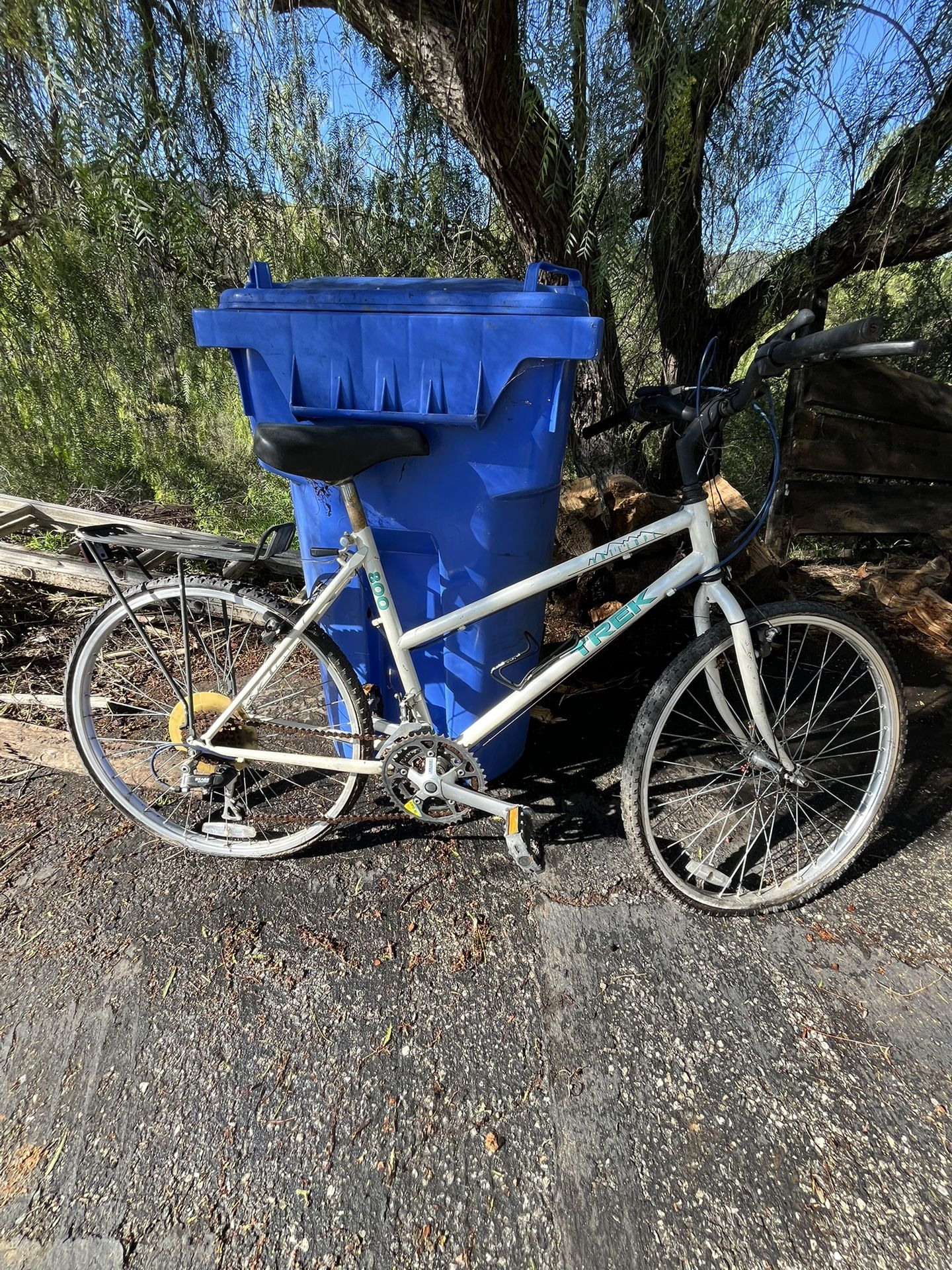 Free Trek Bike