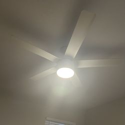 Ceiling Fan Merwry Home Decorators 52” LED & Remote with Light Dimmer 
