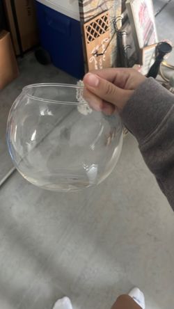 Clear Glass Fish Bowl Vase