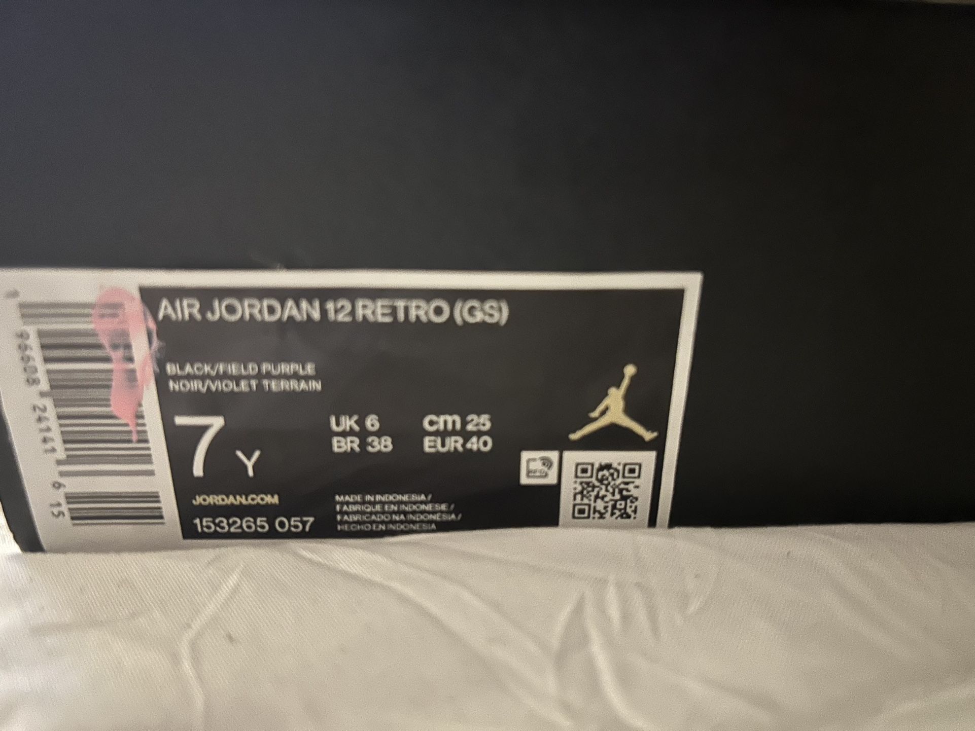 Jordan Retro 12