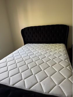 Black Velvet Queen Size Sleigh Bed & Mattress