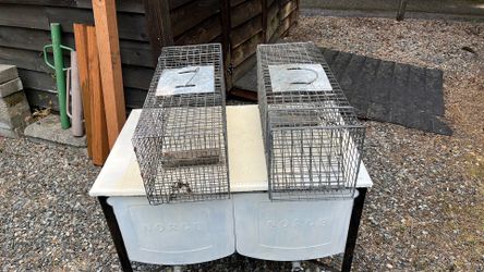 Live animal traps