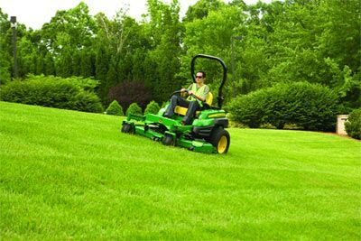 Grass cut