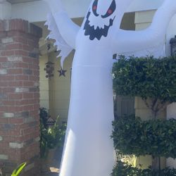Halloween Decor 