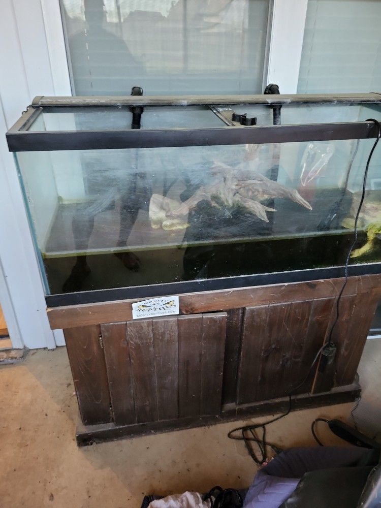 75 Gallons Tank With Filters