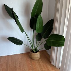 5 Feet Tall Birds Of Paradise Faux Plant 