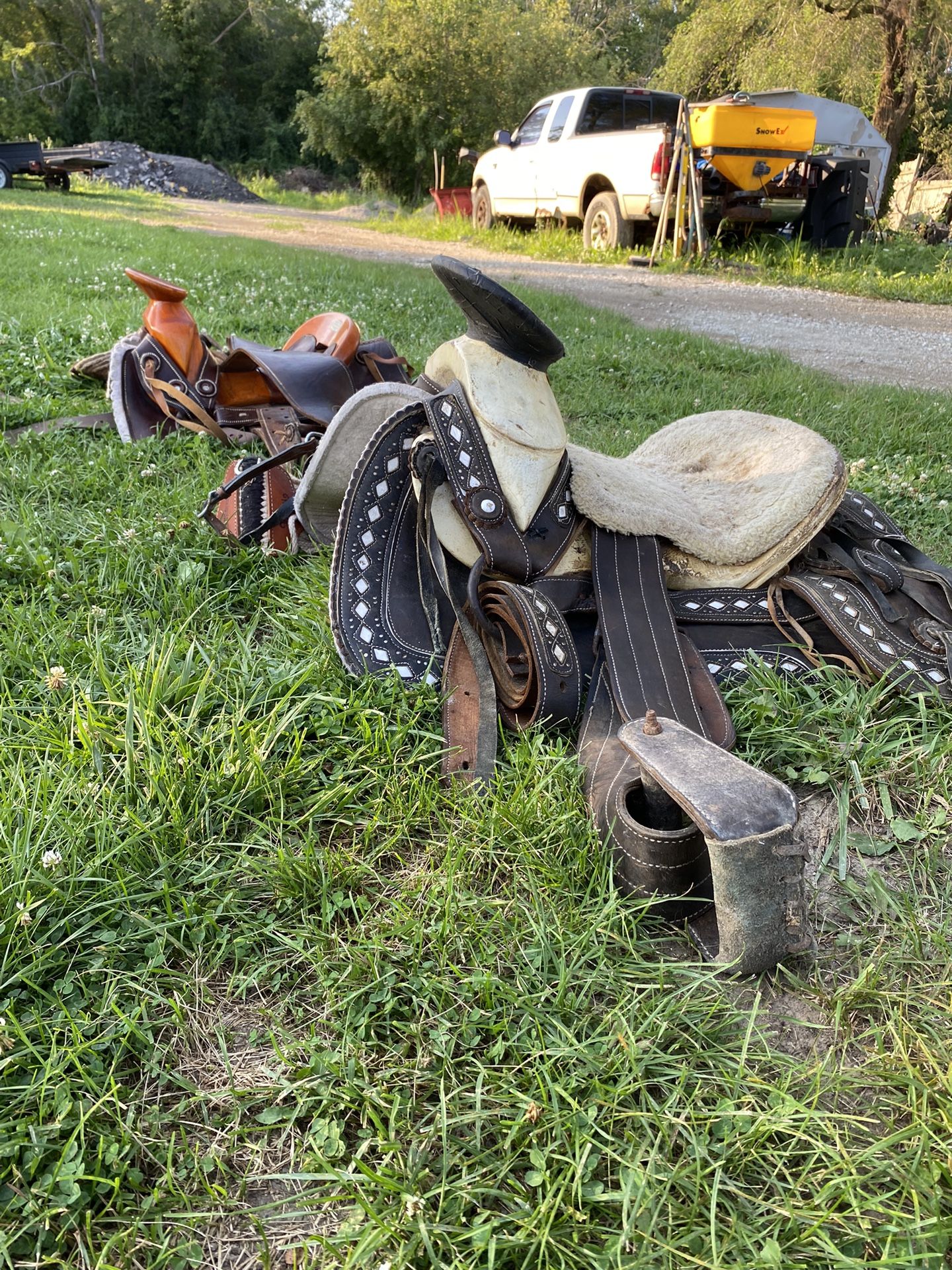 Horse Saddle