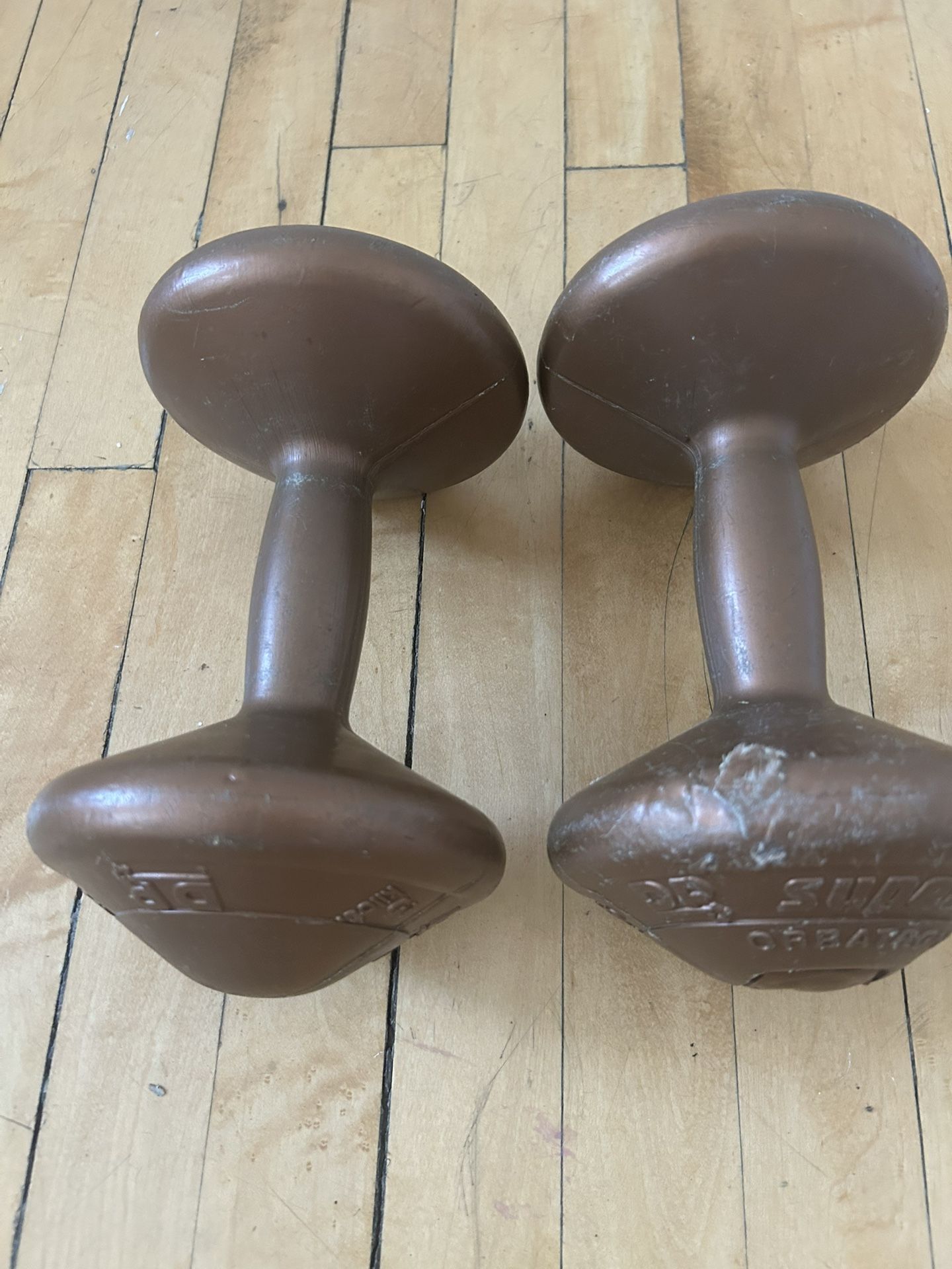 6.6 lbs Dumbbells