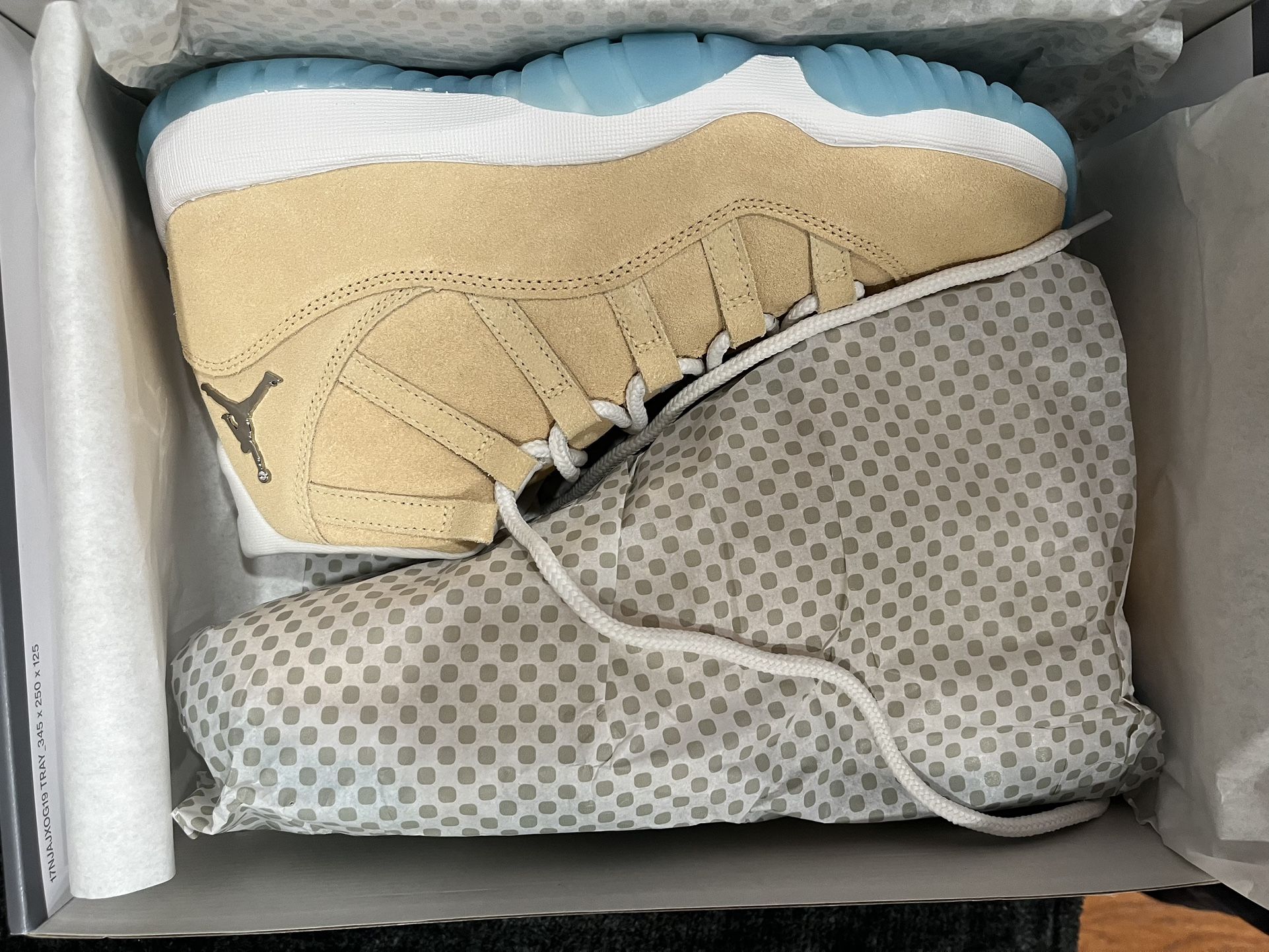 Jordan 11 H Town DS 