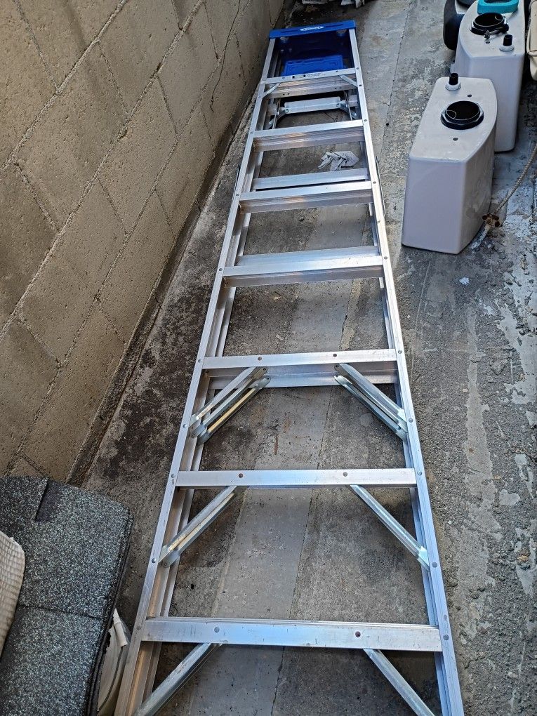 Ladder Werner 