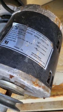 Evaporator Motor 
