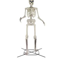 12 FT Giant Skeleton with LifeEyes LCD Eyes