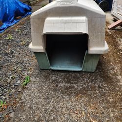 Dog House 