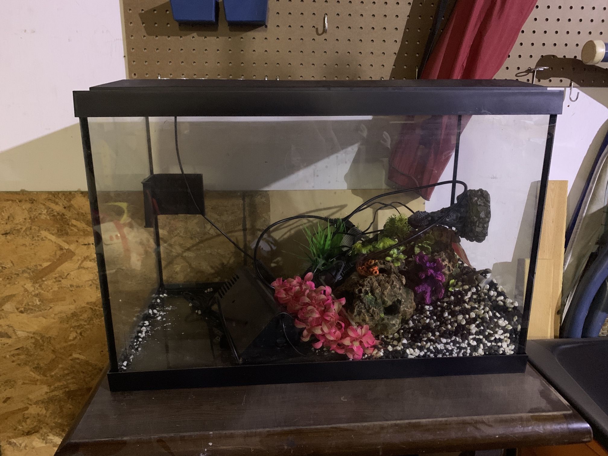 Fish Tank