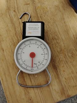 Traveler Scale