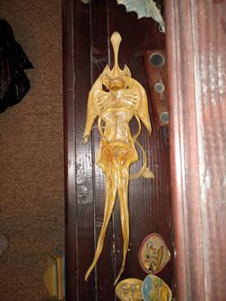 Devil fish sideshow taxidermy