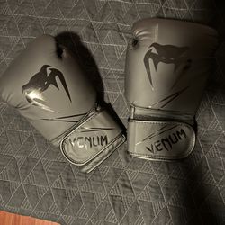 venum boxing gloves