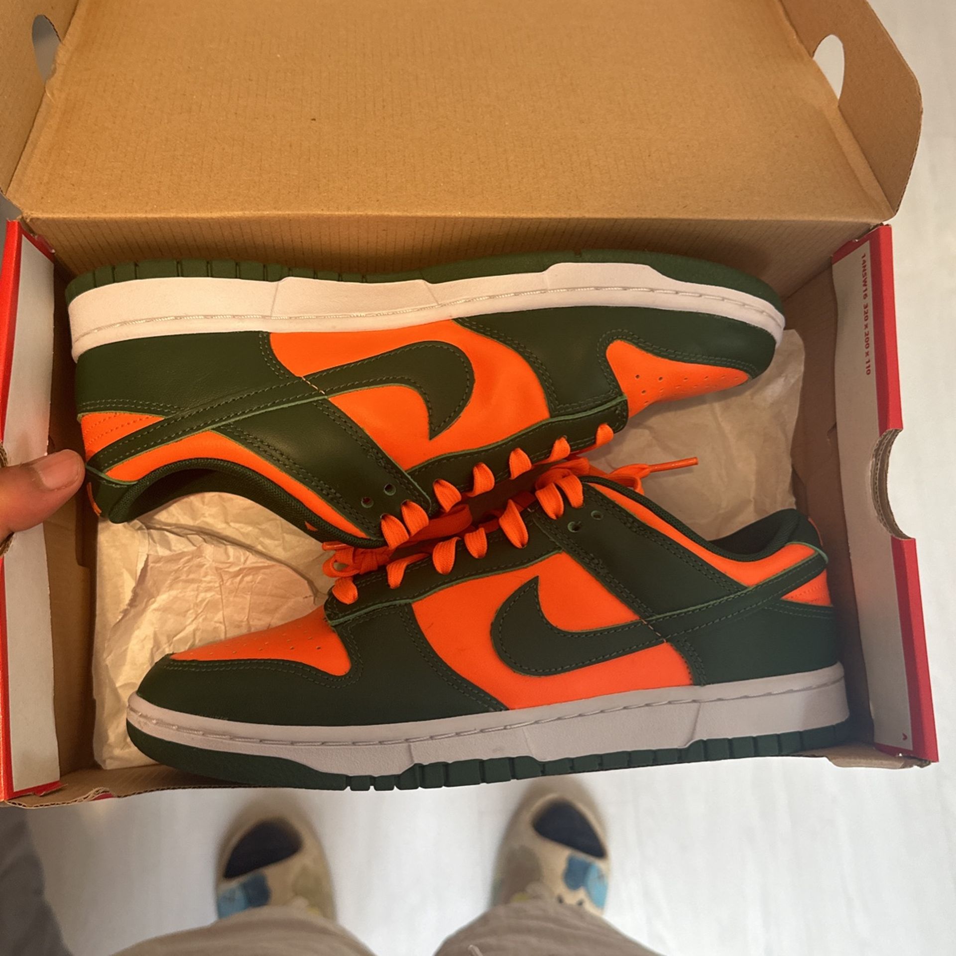 Nike Dunk Lows UM (Miami)