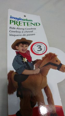 Ride along cowboy costume