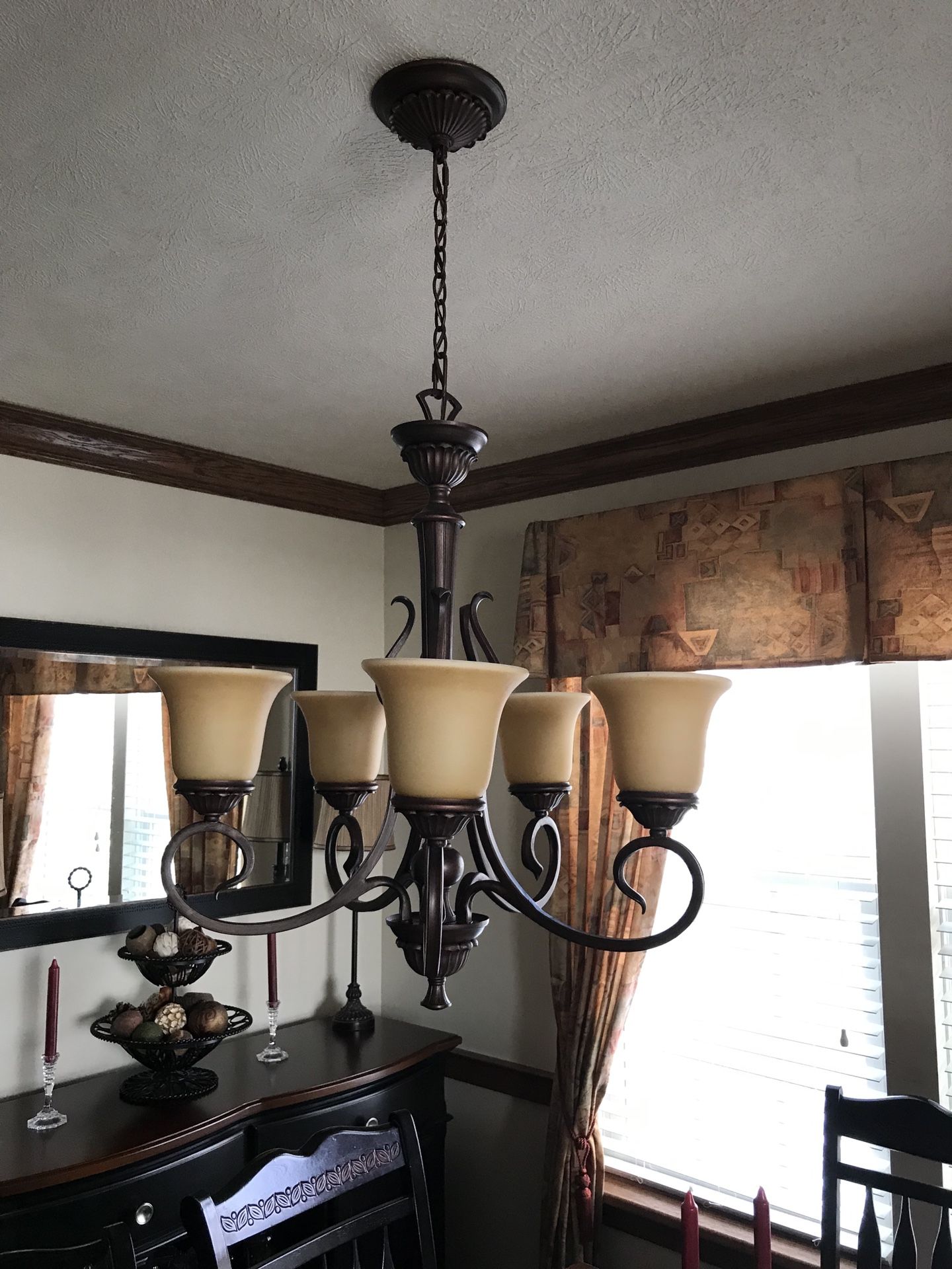 Brand new dining room light and fixture