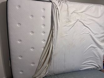 8” sealy queen mattress with protector cover