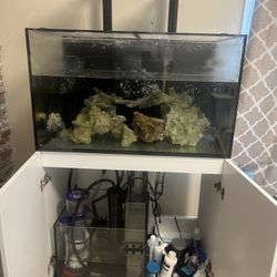 Fish Tank , Red Sea 250