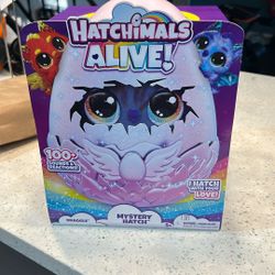 Hatchimals Doll 