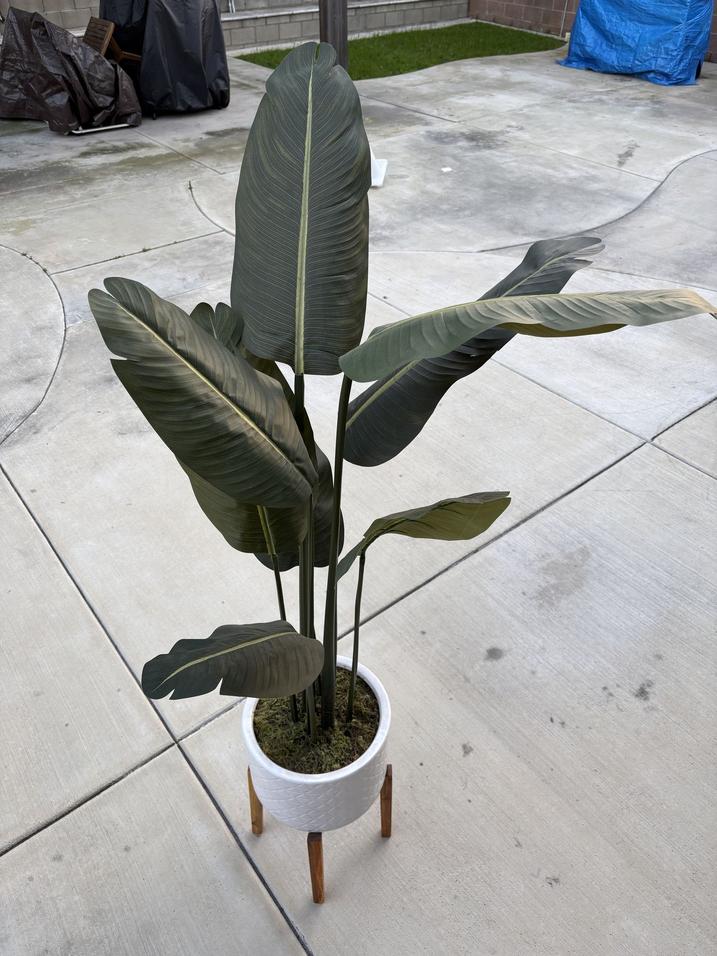 Artificial Fake Home Plant Decor Bird of Paridise Pot indoors