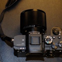 Sony A7RIVA + Sigma 90f2.8 DC DN - PRISTINE