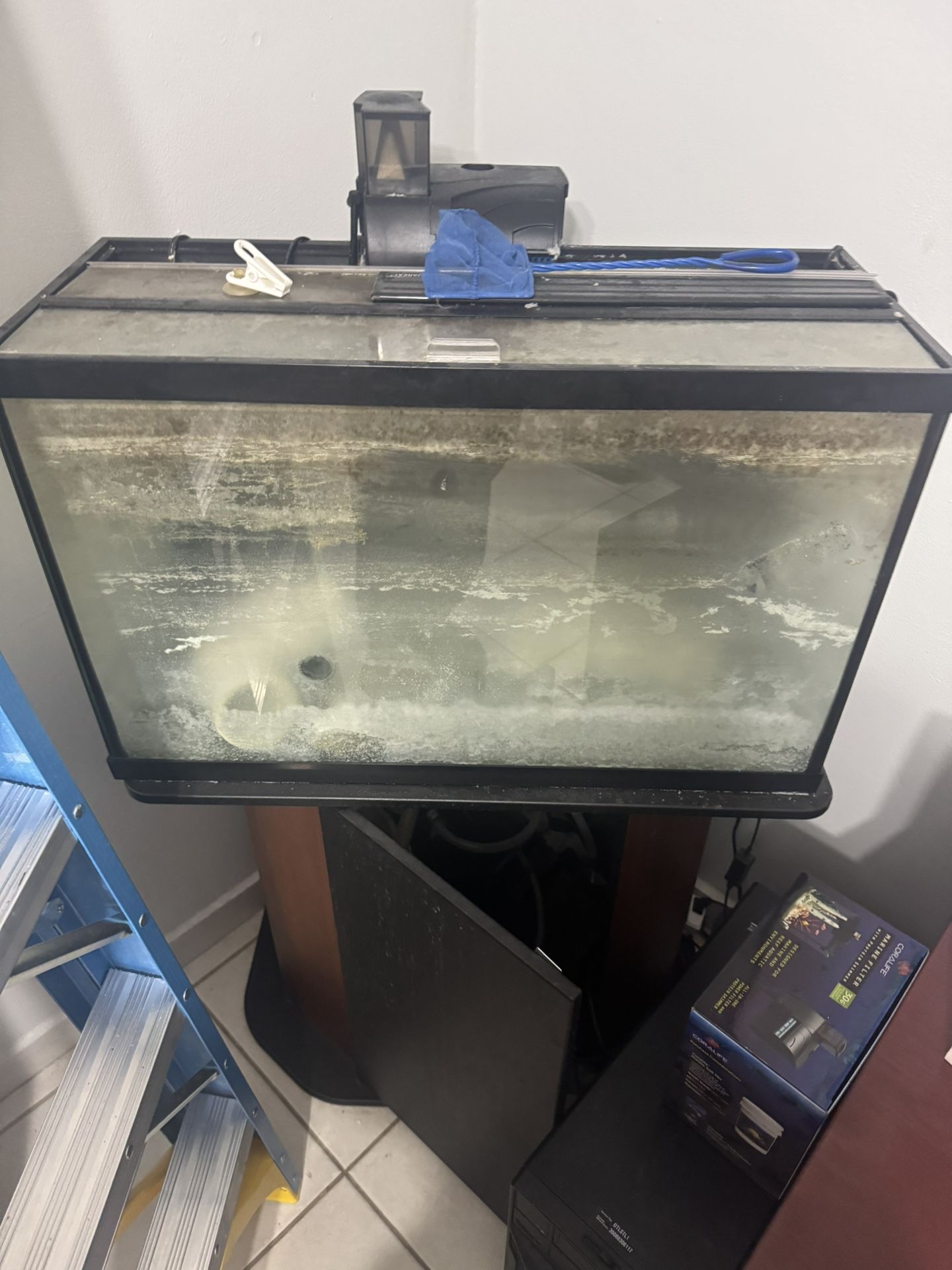Fish Tank