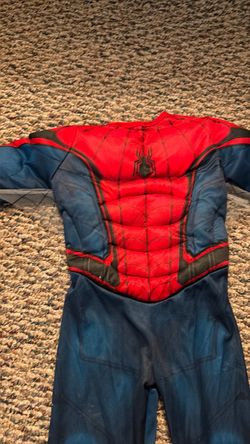 Spider-Man Kids Muscle Costume