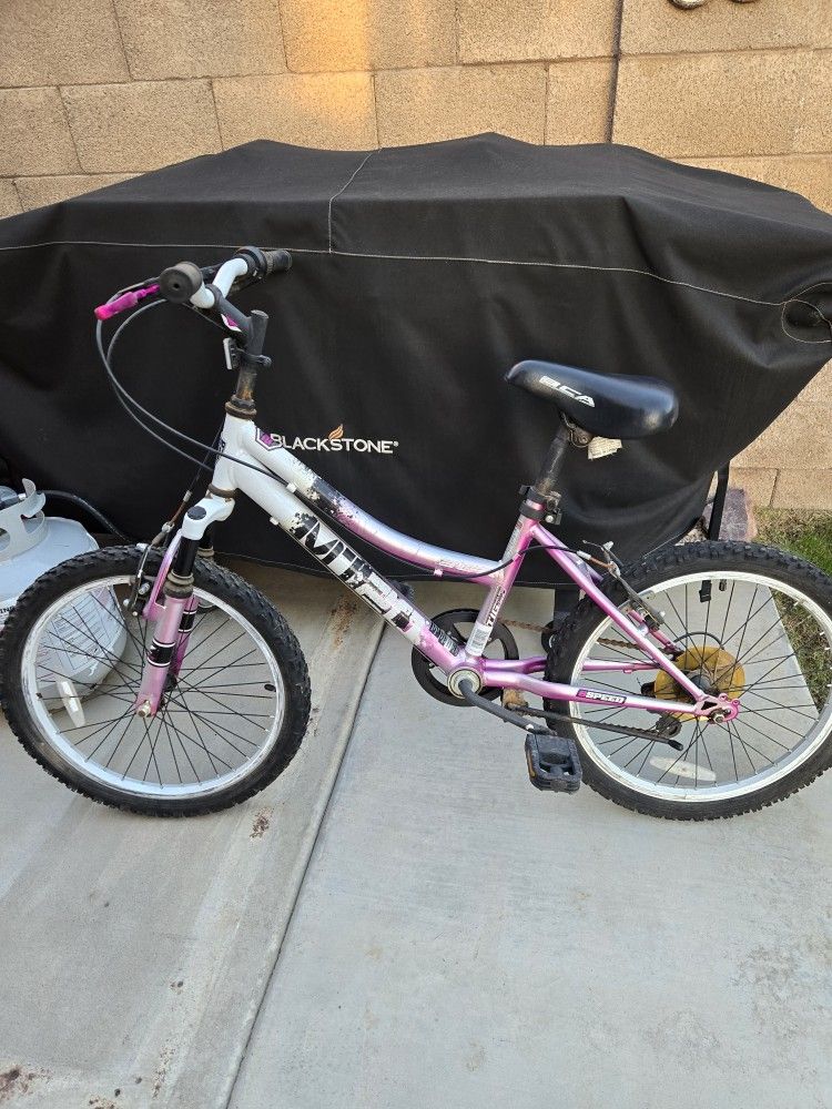 Small Bike 6 Speed 20" Tires