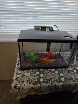 10 Gallon Aquarium With Water Treatment, Food and A Net