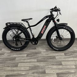 Electric Bike: Young Electric ESCOUT