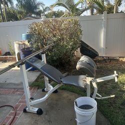 Weights 
