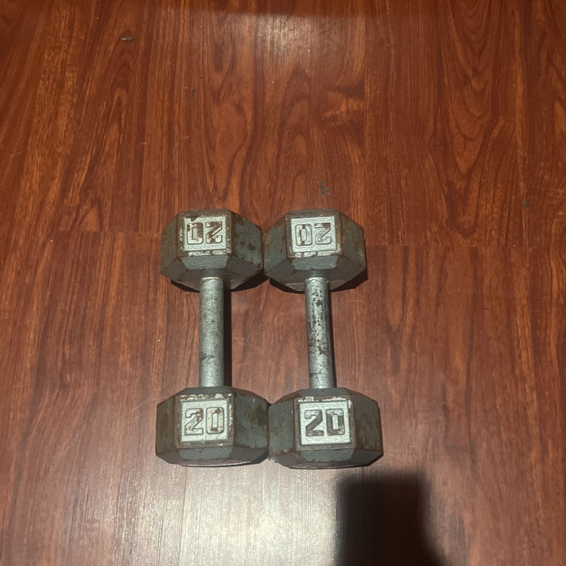 20lbs Dumbbells