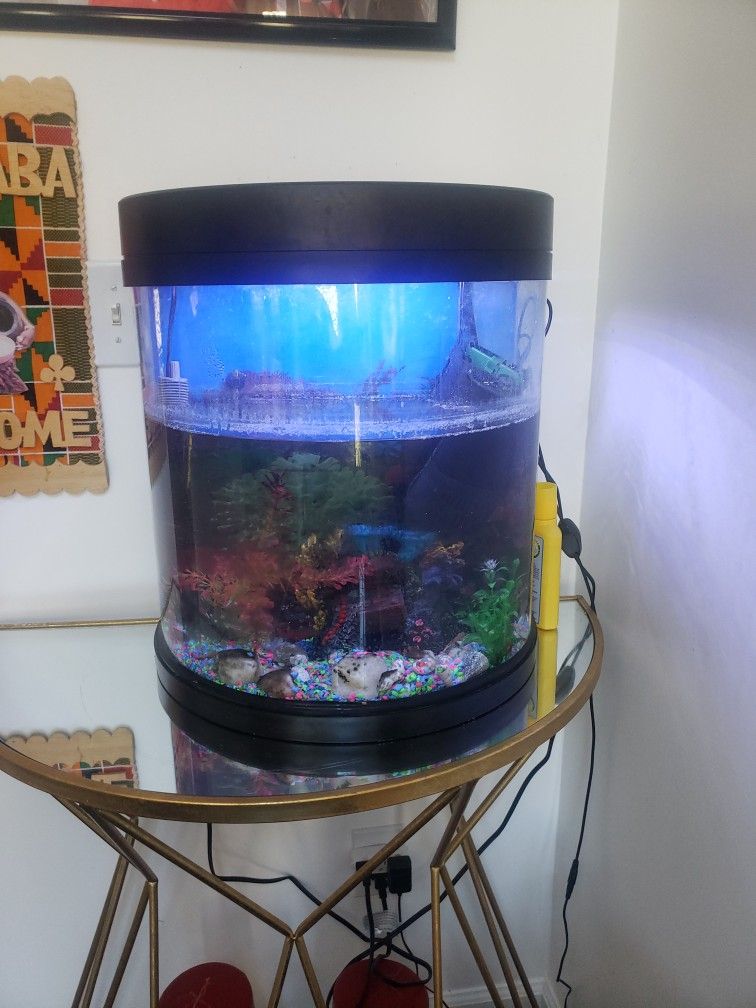 10 Gallon Fish Tank