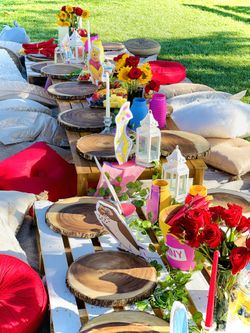 Picnic birthday Decor