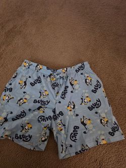 Bluey shorts