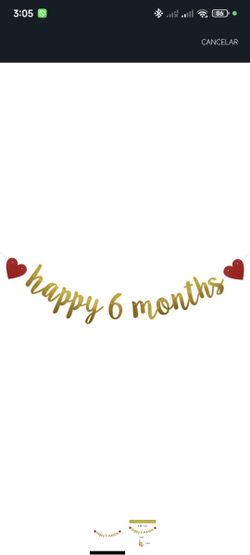 6 Months Old Banner