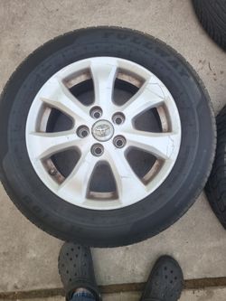 camary rims
