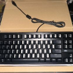 MageGee Mechanical Gaming Keyboard 87 Keys with RGB LED Backlit - Wired USB Computer Keyboard with Blue Switches, 100% Anti-Ghosting, Metal Constructi