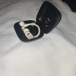 Beats by Dre Powerbeats Pro Earbuds 