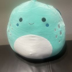 Large Squishmellow 