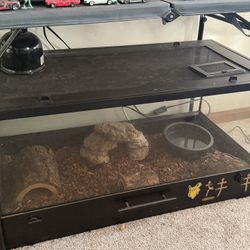50 Gallon Reptile Tank
