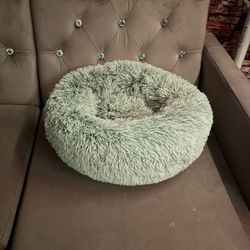 Cat/Dog Bed