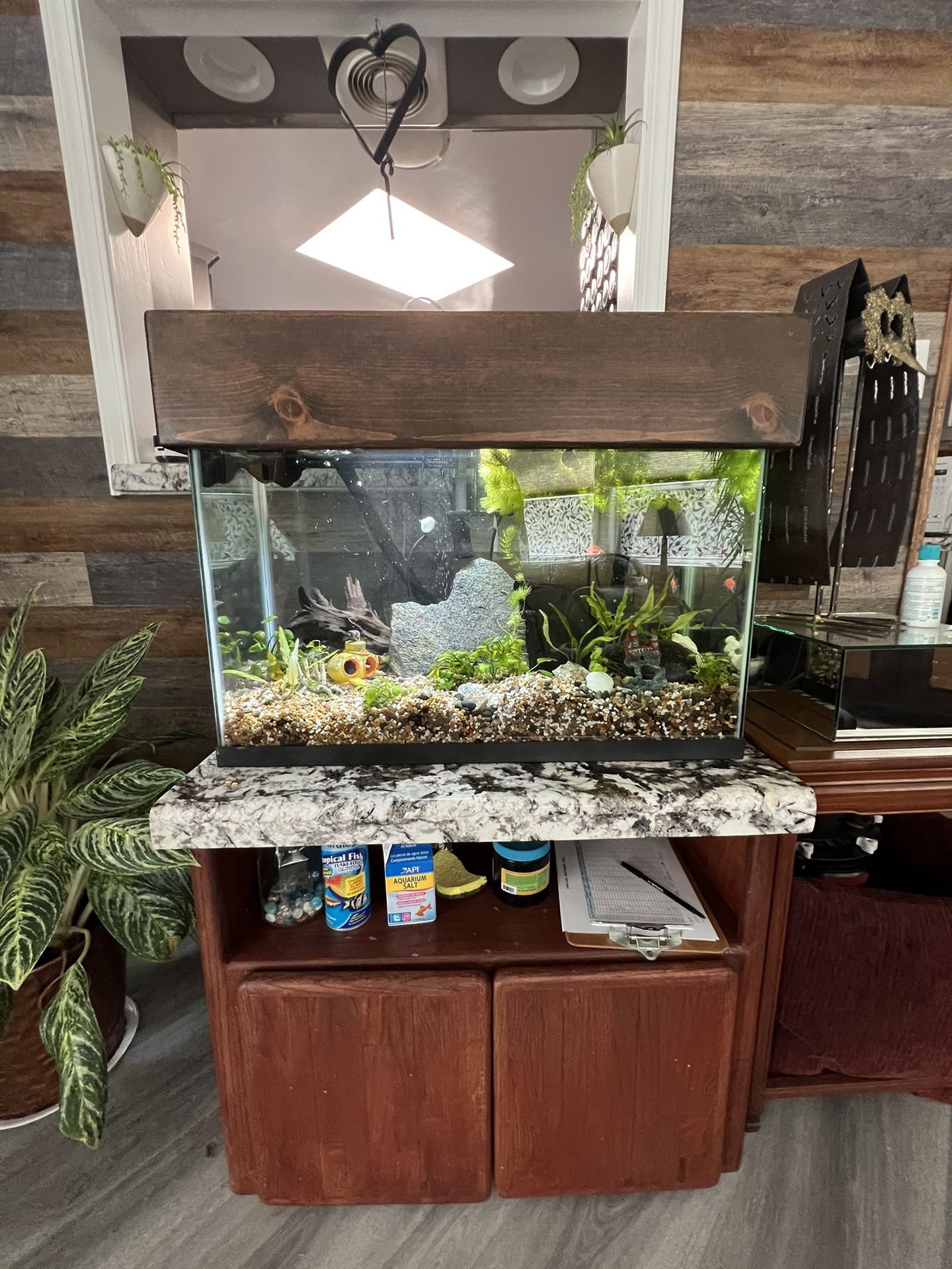 20g Tank With Canister filter